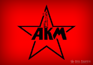 akm1-300x210-1448074